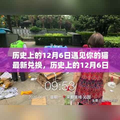 历史上的12月6日遇见你的猫最新兑换,奇幻时空之旅开启!