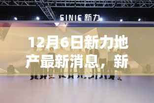 新力地产最新动态，深度解读三大要点更新