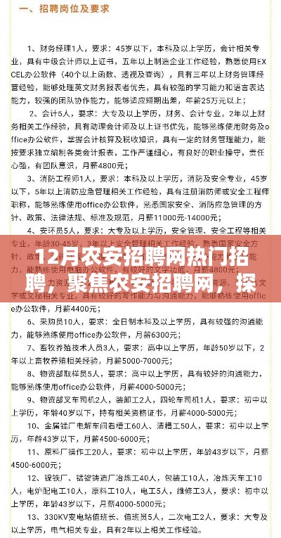农安招聘网热门职位趋势解析,聚焦十二月招聘高峰