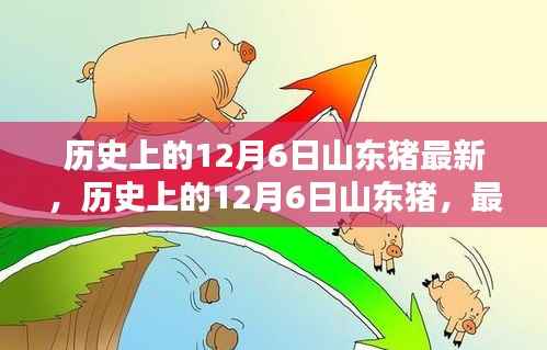 历史上的12月6日山东猪最新资讯与深度分析,最新动态与指南