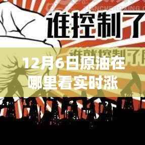 揭秘,如何掌握12月6日原油市场动态与实时涨跌表查看指南