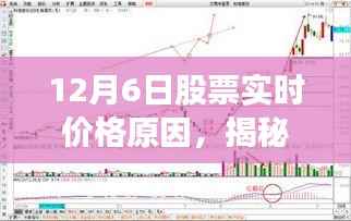 揭秘12月6日股票实时价格波动背后的原因,洞悉股市风云变幻的攻略