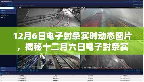 shengzhangshuwei 第12页