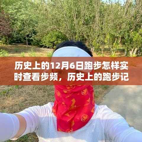 如何实时查看历史跑步记录与步频指南，操作教程
