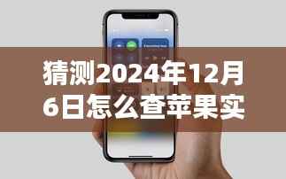 探秘苹果秘境,未来实时价格查询指南,预测2024年12月6日苹果价格走势揭秘