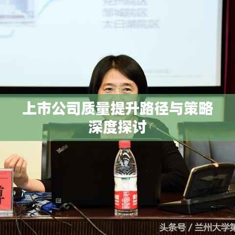 上市公司质量提升路径与策略深度探讨