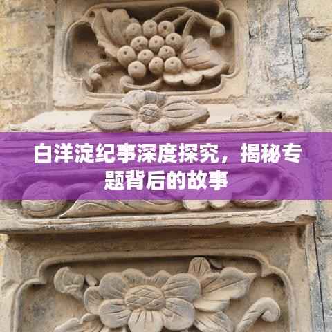 白洋淀纪事深度探究,揭秘专题背后的故事