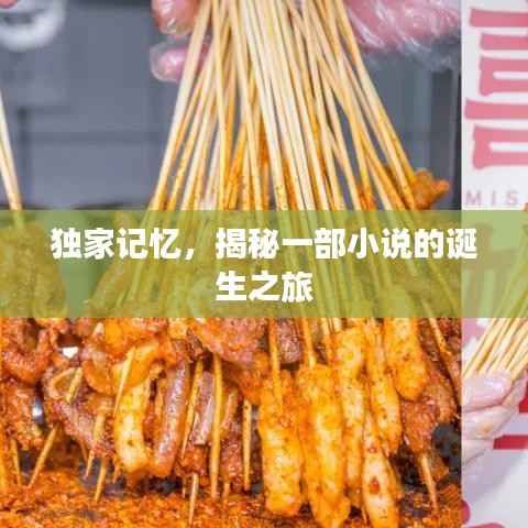 独家记忆,揭秘一部小说的诞生之旅