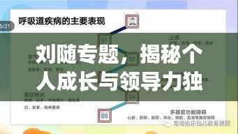 刘随专题,揭秘个人成长与领导力独特路径
