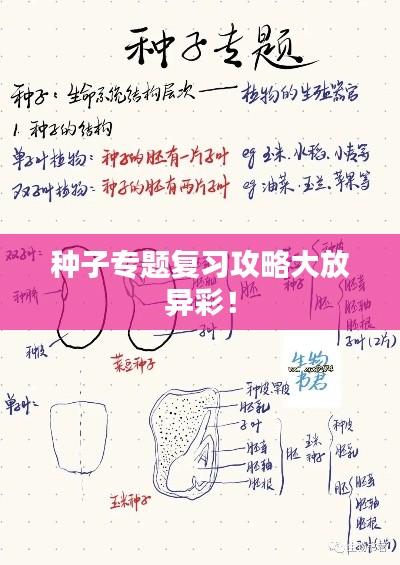 种子专题复习攻略大放异彩！