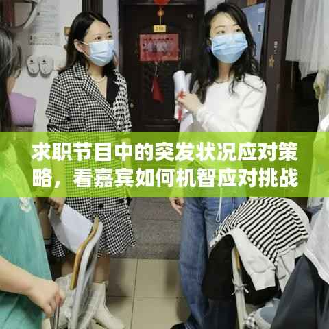 求职节目中的突发状况应对策略,看嘉宾如何机智应对挑战!