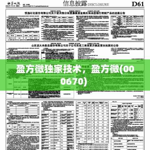 盈方微独家技术,盈方微(000670)