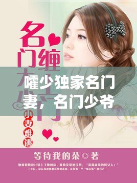 嚯少独家名门妻,名门少爷