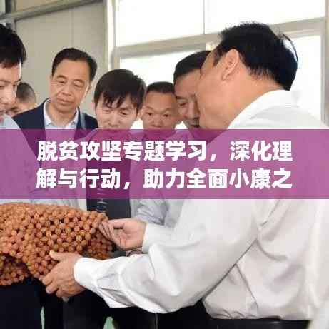 脱贫攻坚专题学习,深化理解与行动,助力全面小康之路