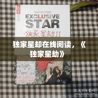 独家星却在线阅读,《独家星劫》