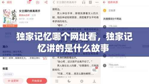 独家记忆哪个网址看,独家记忆讲的是什么故事