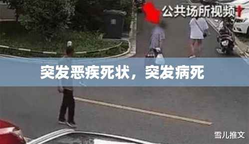 突发恶疾死状，突发病死 