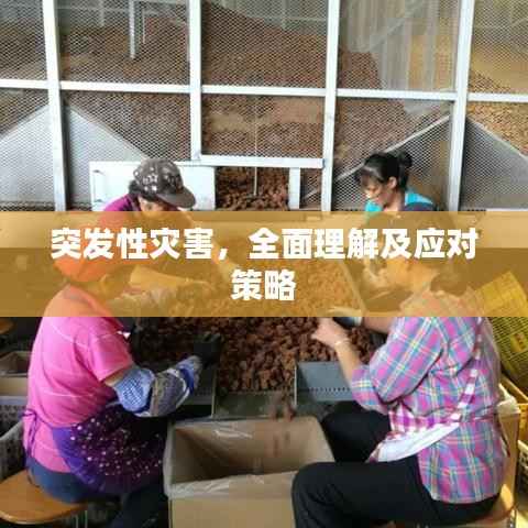 突发性灾害,全面理解及应对策略