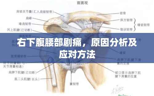 guixianjianbi 第10页