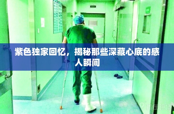 紫色独家回忆,揭秘那些深藏心底的感人瞬间