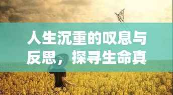 sanrenchenghu 第8页