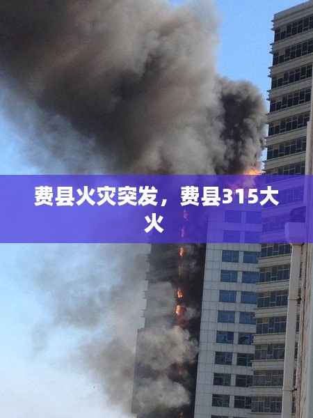 费县火灾突发,费县315大火