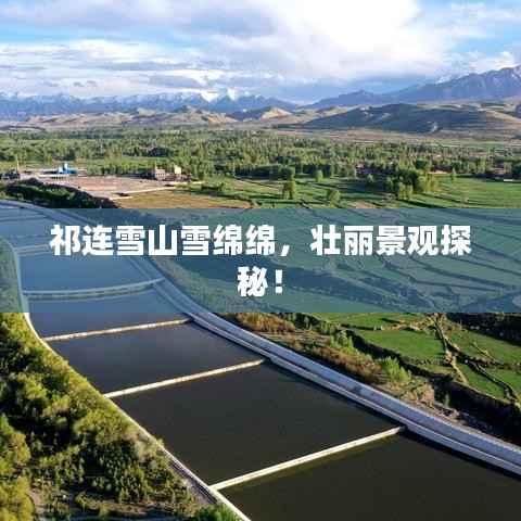 祁连雪山雪绵绵，壮丽景观探秘！