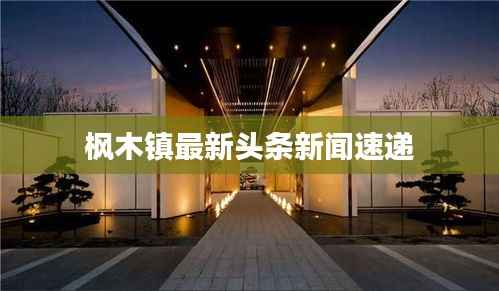 枫木镇最新头条新闻速递