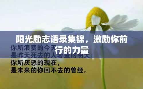 阳光励志语录集锦,激励你前行的力量