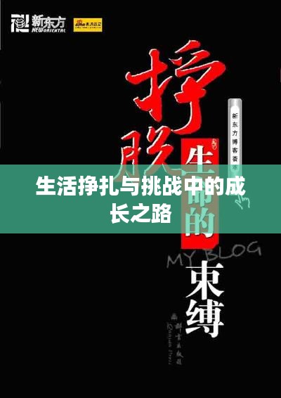生活挣扎与挑战中的成长之路