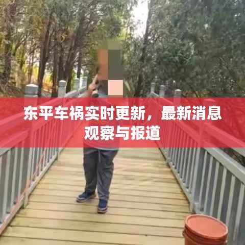东平车祸实时更新，最新消息观察与报道