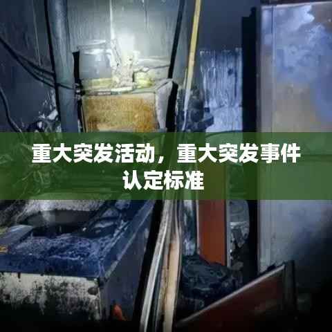 重大突发活动，重大突发事件认定标准 