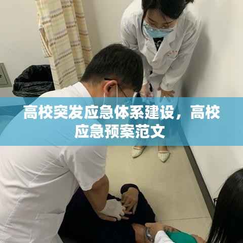 高校突发应急体系建设,高校应急预案范文