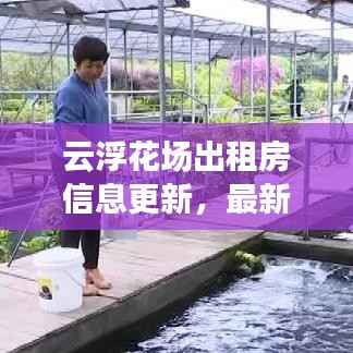 云浮花场出租房信息更新,最新动态一网打尽