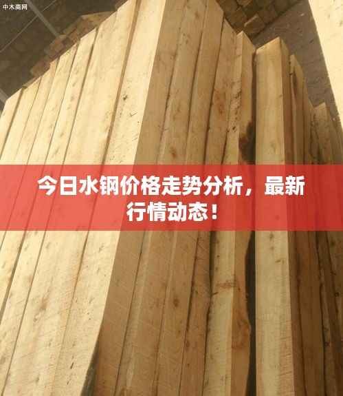今日水钢价格走势分析,最新行情动态!