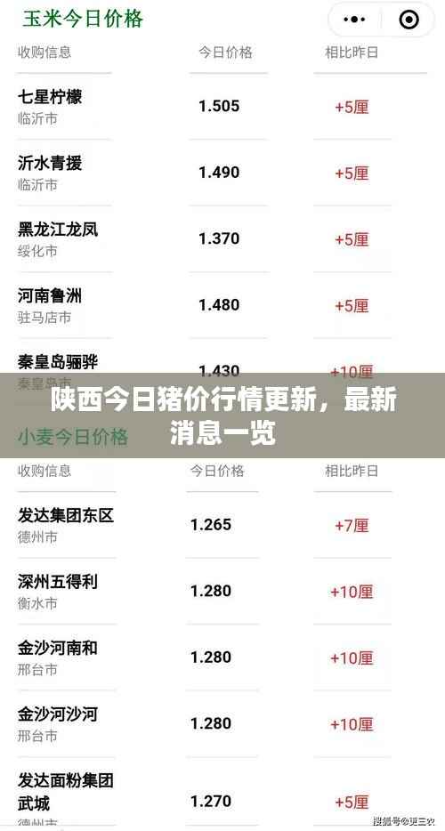 陕西今日猪价行情更新,最新消息一览