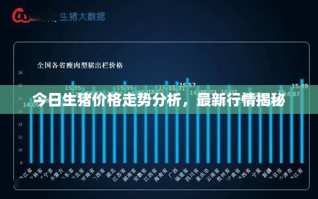 今日生猪价格走势分析,最新行情揭秘