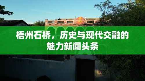 bainiaozhengming 第8页