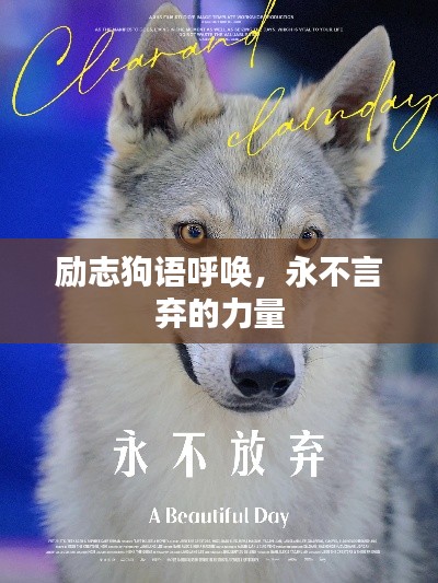 励志狗语呼唤，永不言弃的力量