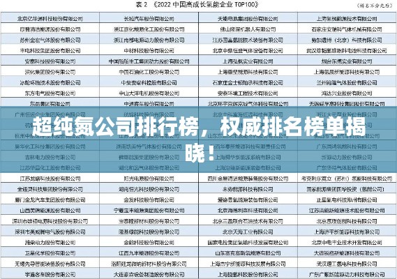 超纯氮公司排行榜,权威排名榜单揭晓!