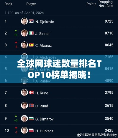 全球网球迷数量排名TOP10榜单揭晓!