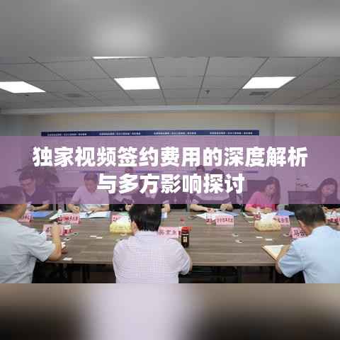 独家视频签约费用的深度解析与多方影响探讨