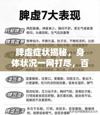 脾虚症状揭秘,身体状况一网打尽,百度来解答!