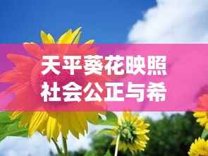 天平葵花映照社会公正与希望之光,新闻头条下的时代风采