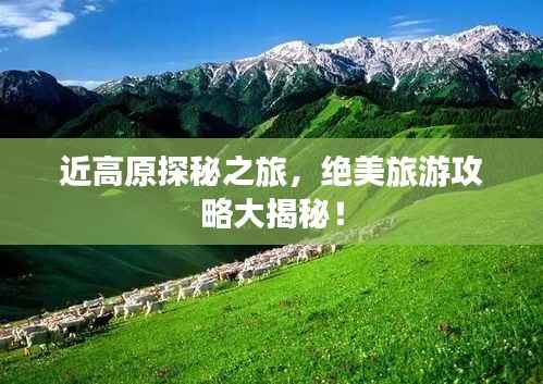 近高原探秘之旅,绝美旅游攻略大揭秘!