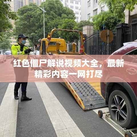 cancongniaodao 第6页