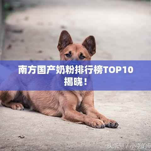 南方国产奶粉排行榜TOP10揭晓!