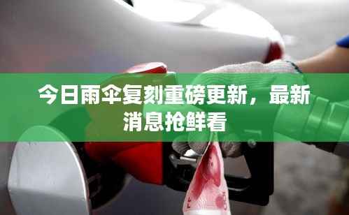 今日雨伞复刻重磅更新,最新消息抢鲜看