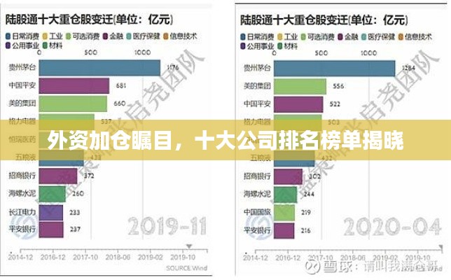 外资加仓瞩目,十大公司排名榜单揭晓