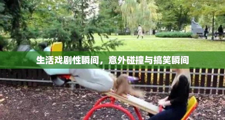 生活戏剧性瞬间,意外碰撞与搞笑瞬间